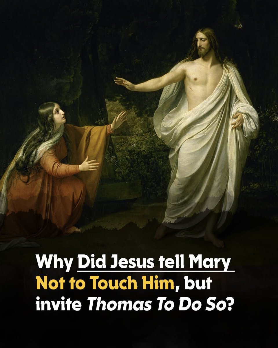 ☩ 𝕁𝕄𝕋 ☩ tweet media