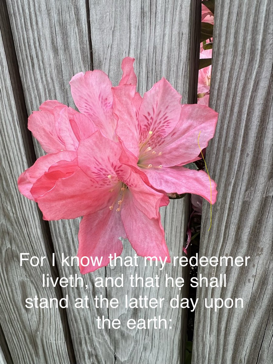 Pat Blackburn tweet media