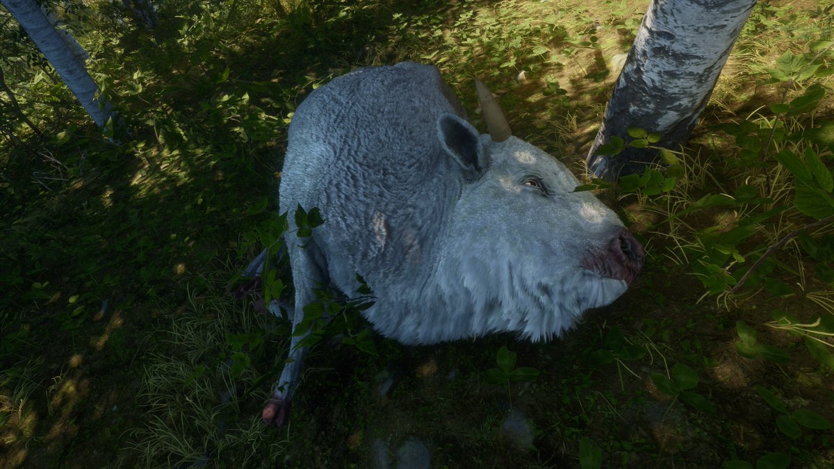 minion_Titan's tweet photo. ダン・マーク軍曹に招集されて 数年ぶりにtheHunterCOTWで遊んだけど やっぱり最高のゲームだね
こういうところで狩りしたいなぁ🤔
#CotW #thehunter #Callofthewild https://t.co/lLgk1UKLWf