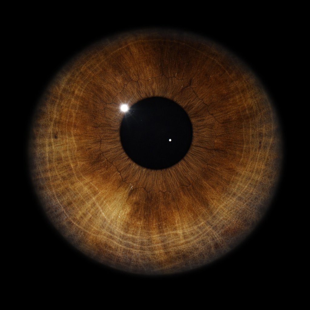 Ben üni gitmek istiyorum tweet media