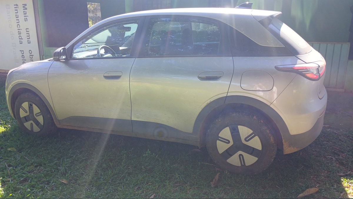 Cetaceo Libertario tweet media