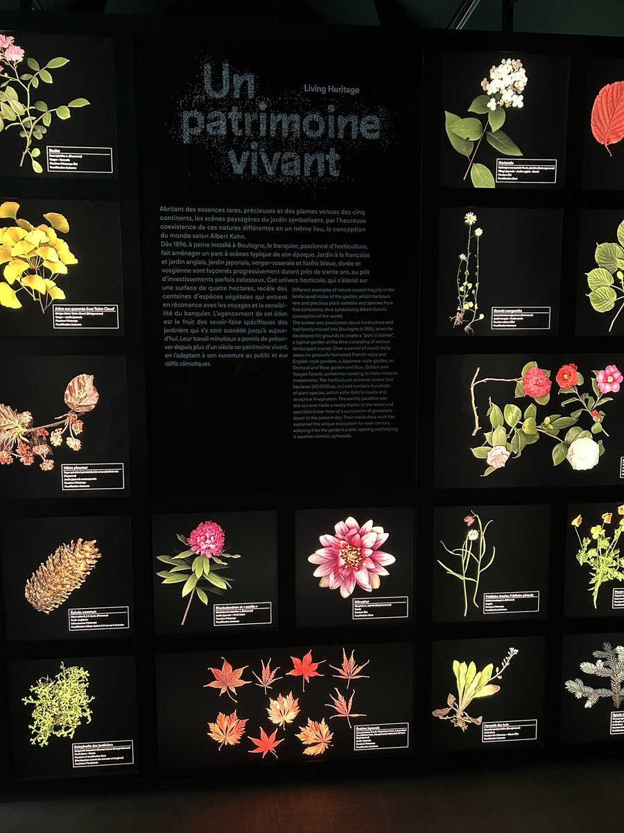 lolow135 tweet media