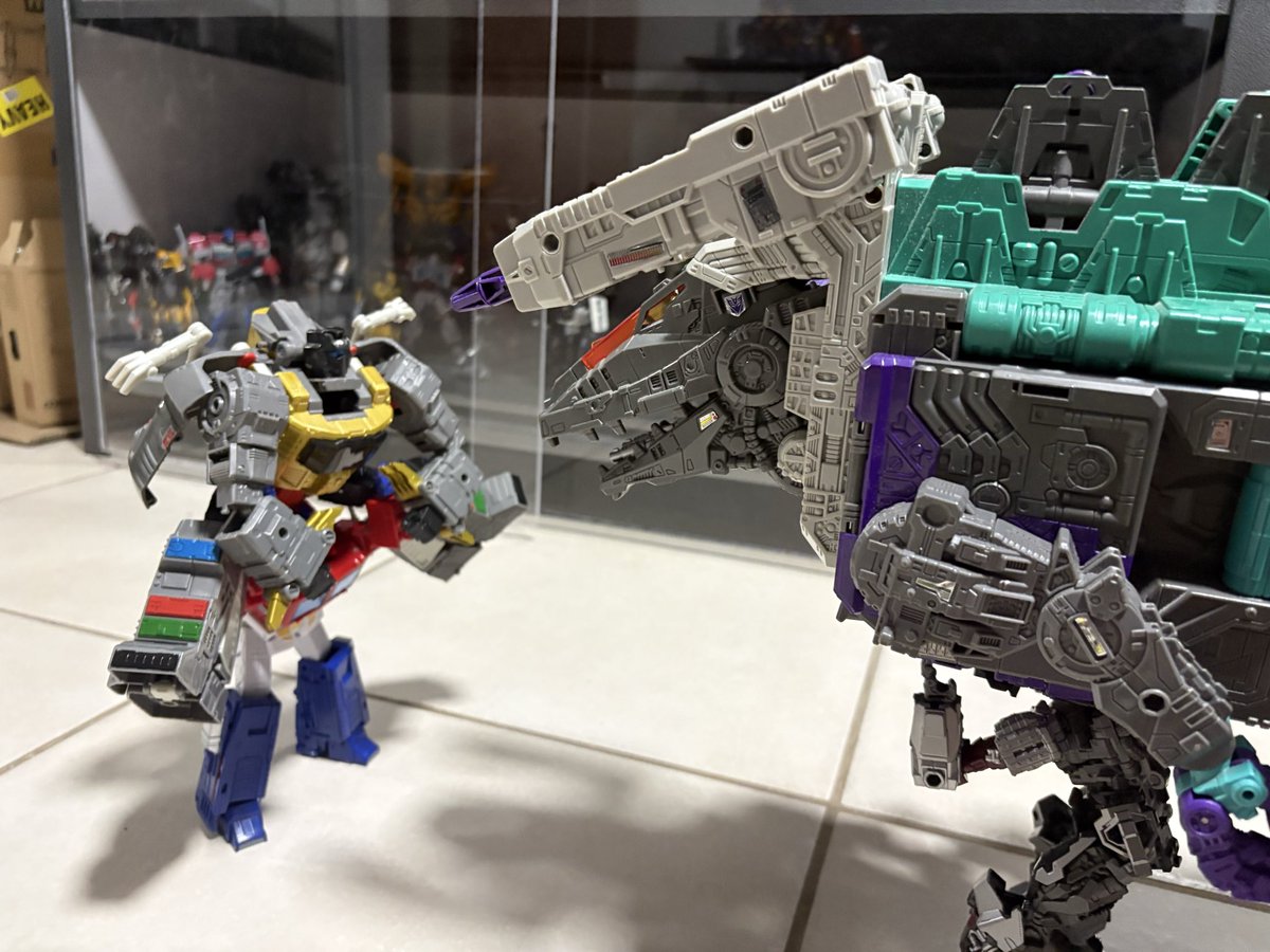 ๐ต๐ทDavimus ๐ฉ tweet media