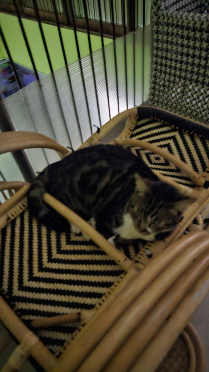 tanipon🌴 tweet media