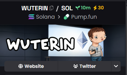 CryptoVelora tweet media