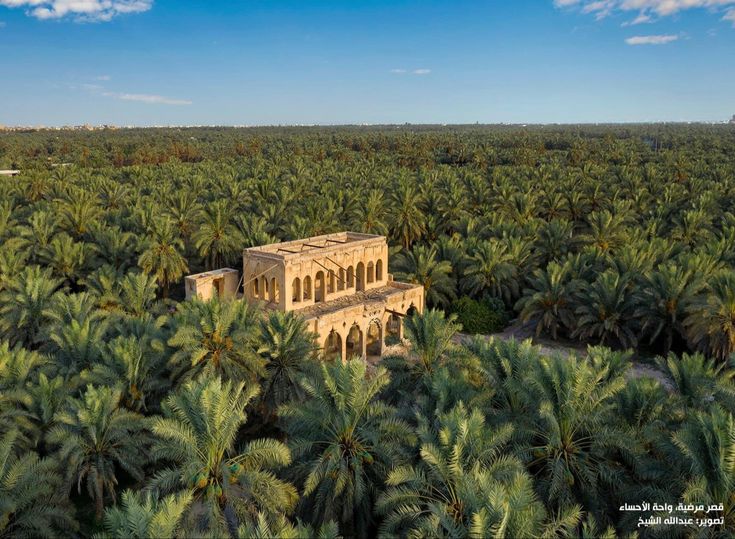 beautiful Arab⁦⁦ tweet media