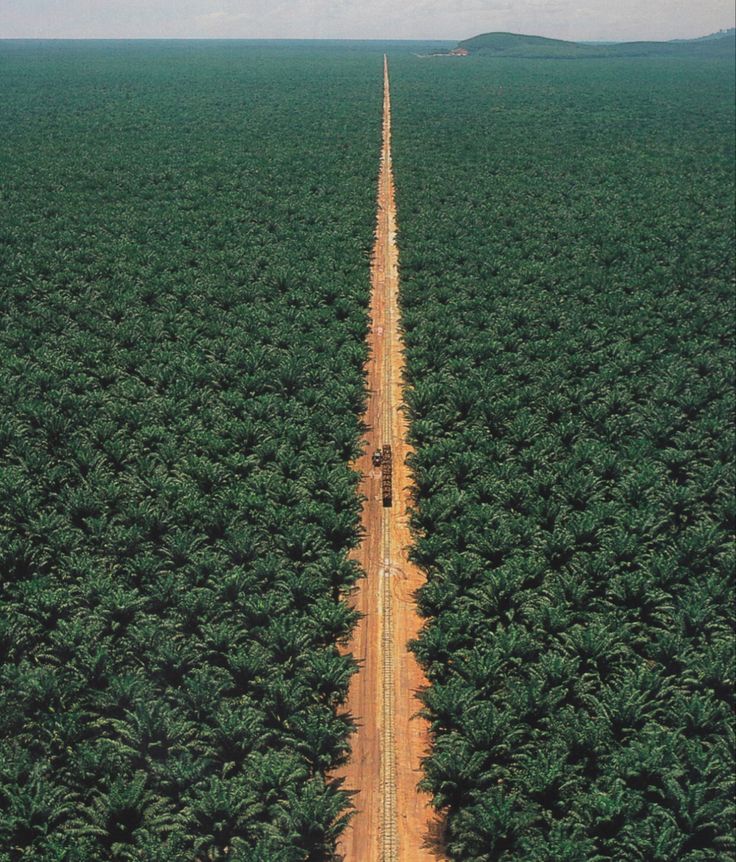 beautiful Arab⁦⁦ tweet media