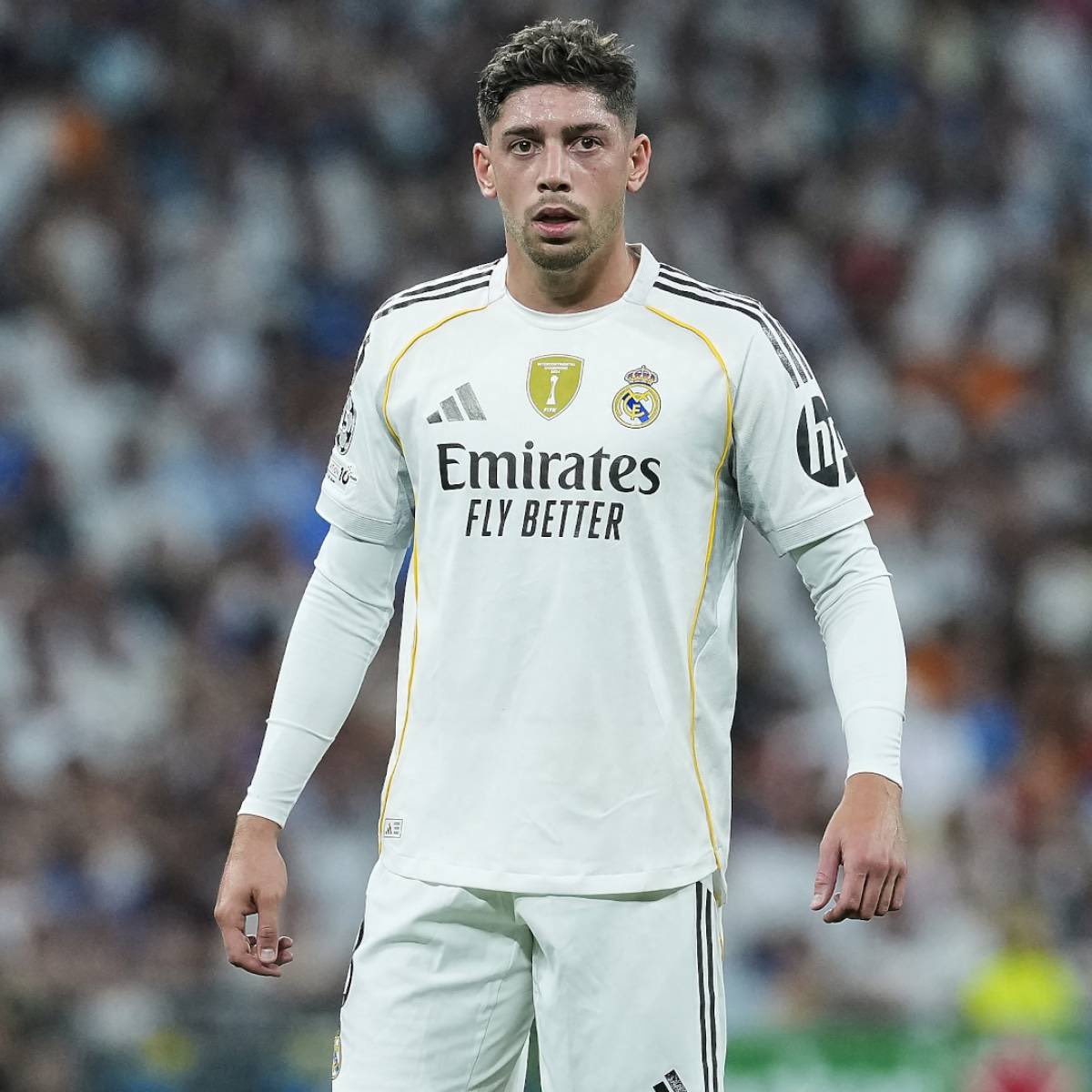 🥷🏼 tweet media