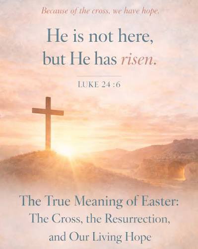 Happy Easter ✝️🐇🌞