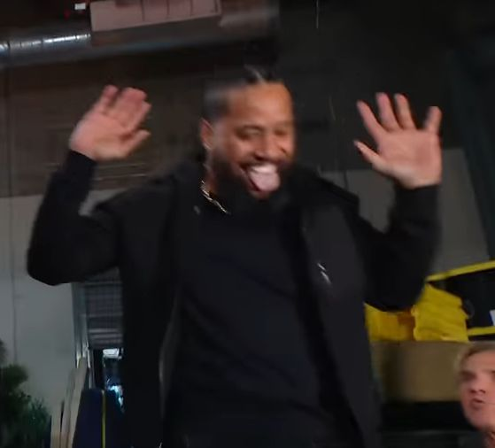 ✧.* birdie *ೃ༄ tweet media