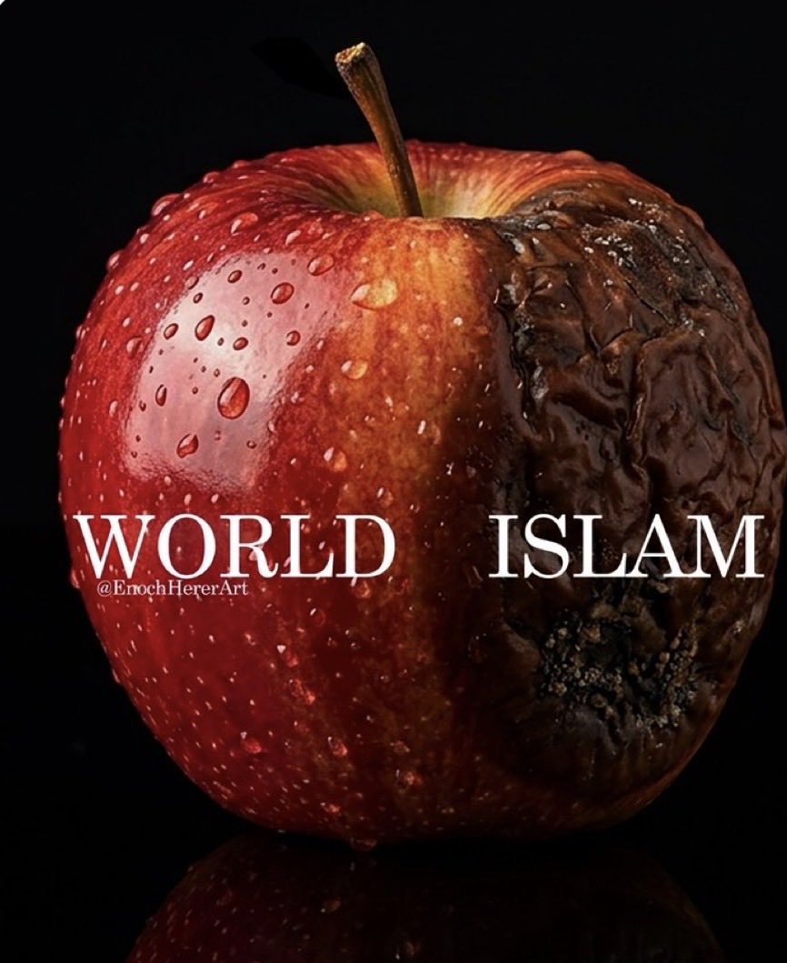 Pietro Brillant tweet media