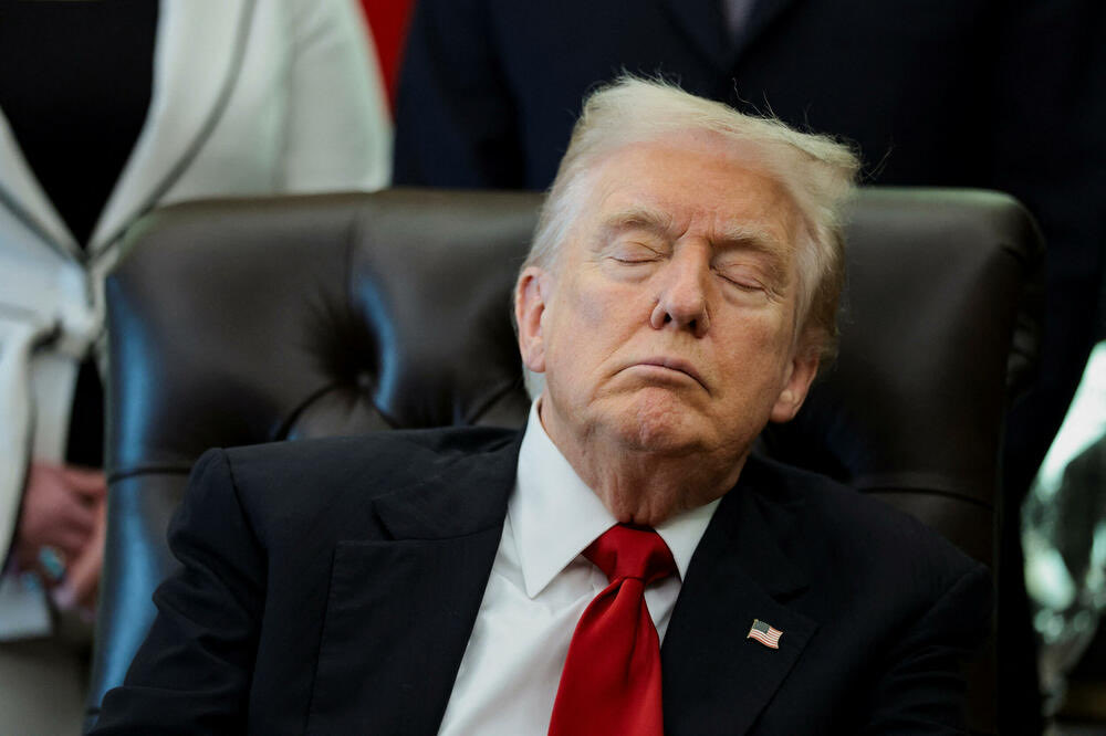 EU Bureaucrat tweet media