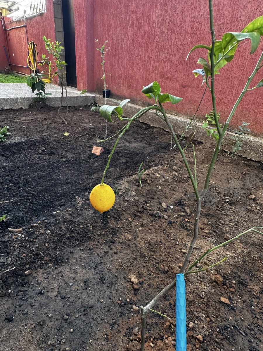 Vastmare tweet media