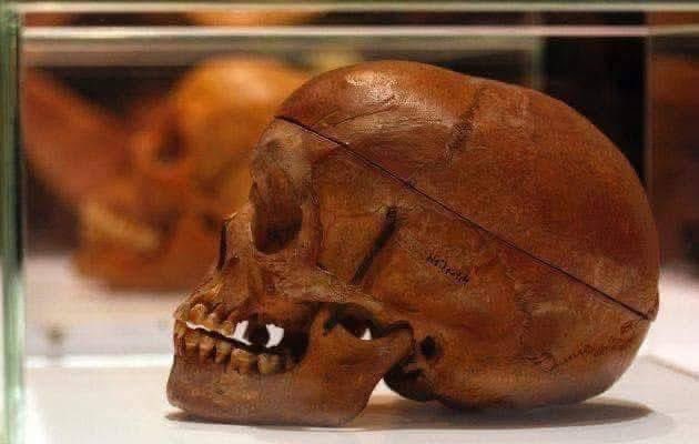 Cmsr Dr Mgcini Tshwaku, PhD tweet media