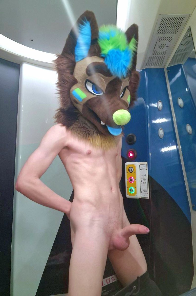 KnotShepDex 🔜 CFZ tweet media