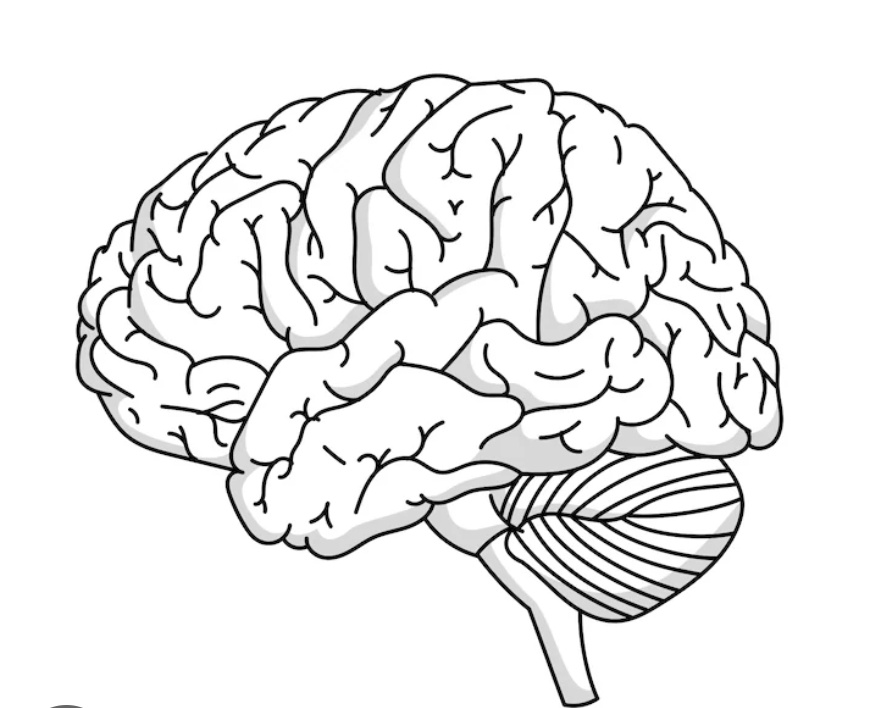 Bloomie🌸 tweet media