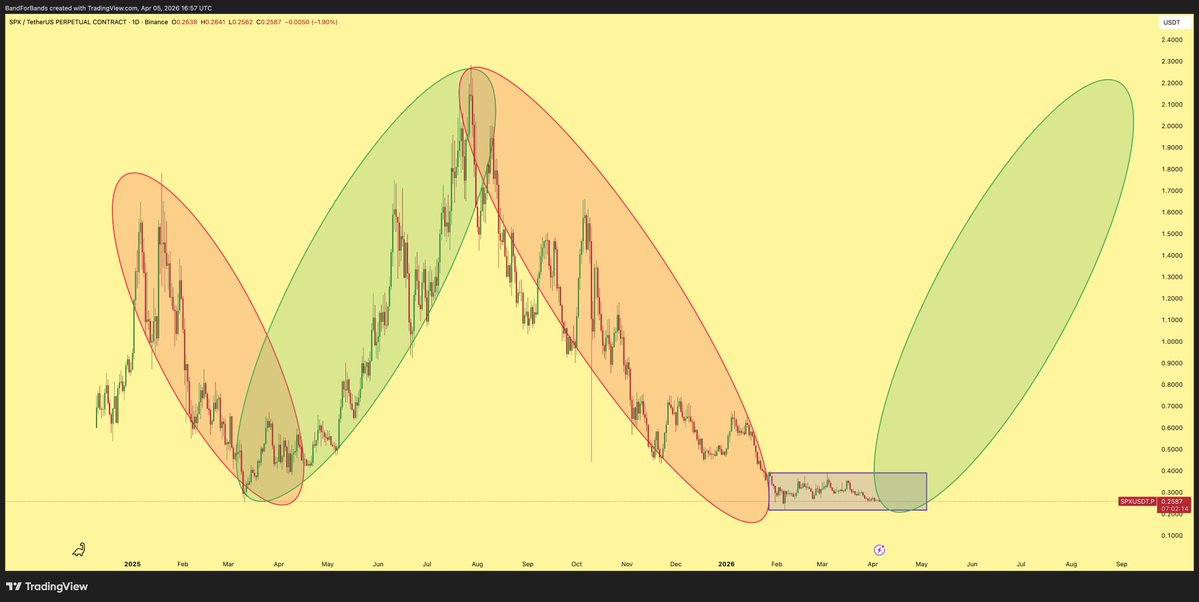 BFB 🐂 tweet media