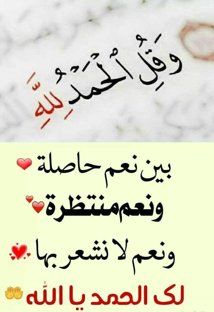 مـنـال الـشـمـري 🇸🇦 tweet media