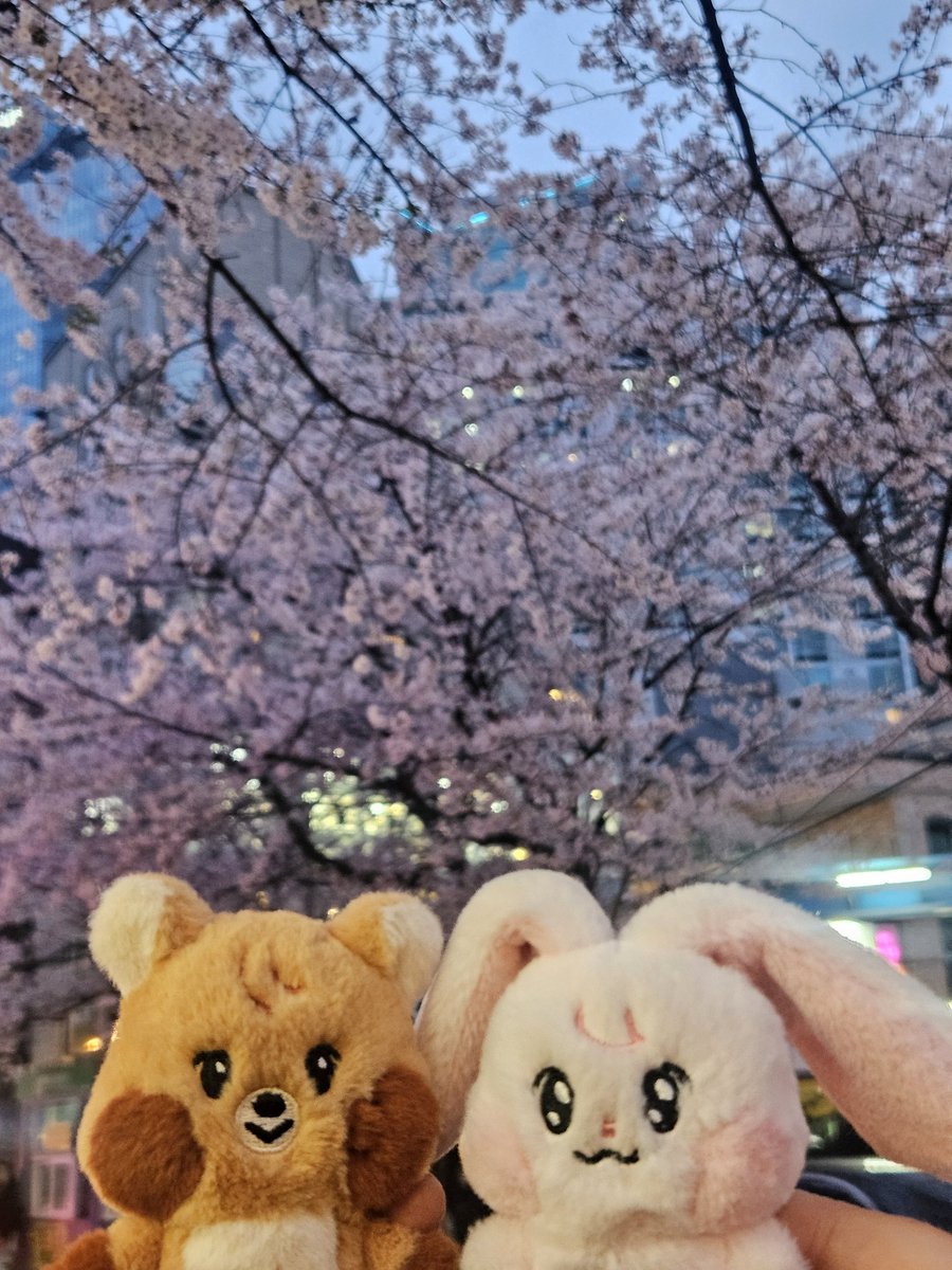 빵Popcorn tweet media