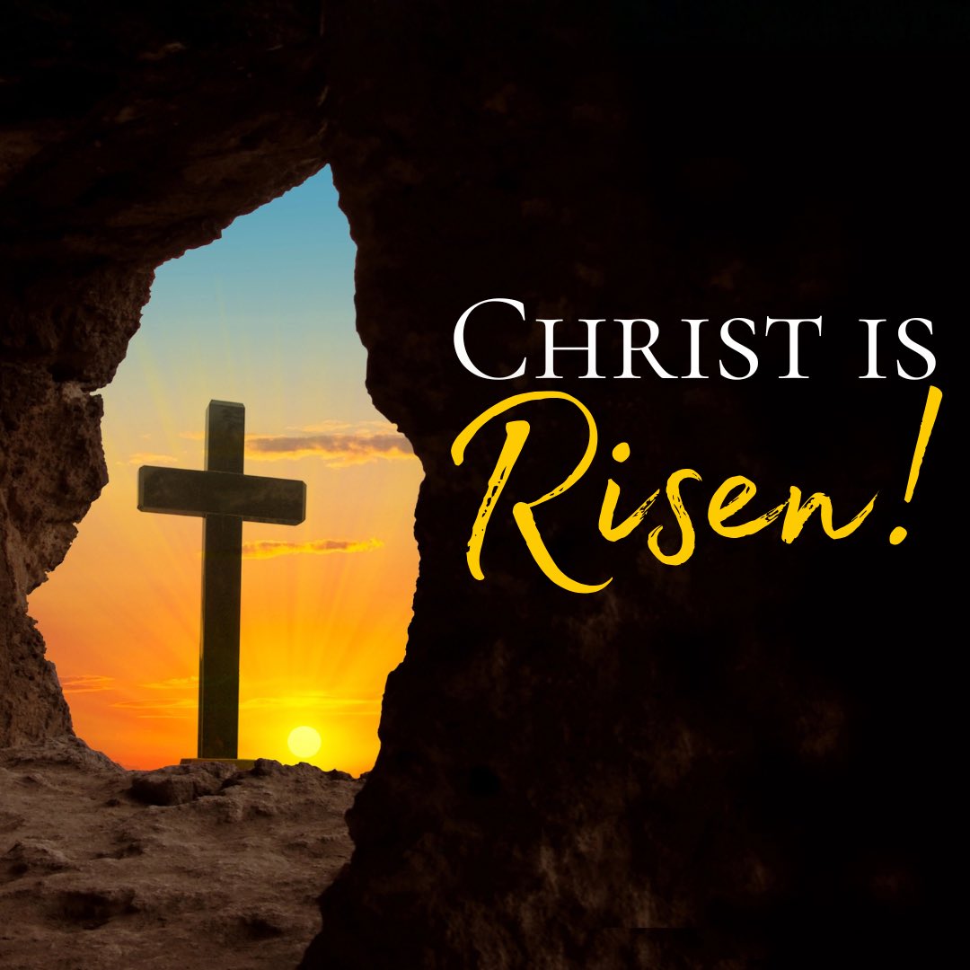 Danielle Smith tweet media