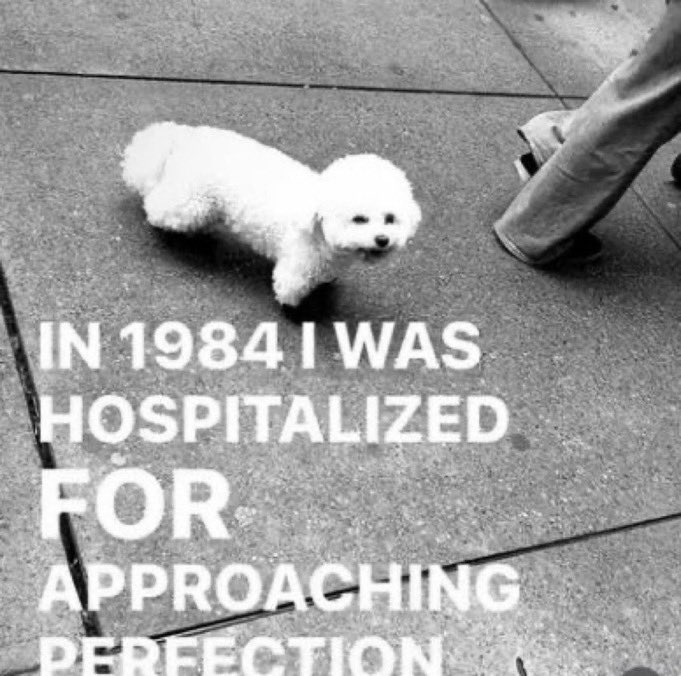 Sei 💫 tweet media