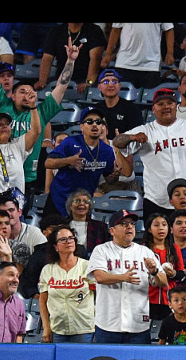 The Skippers View tweet media