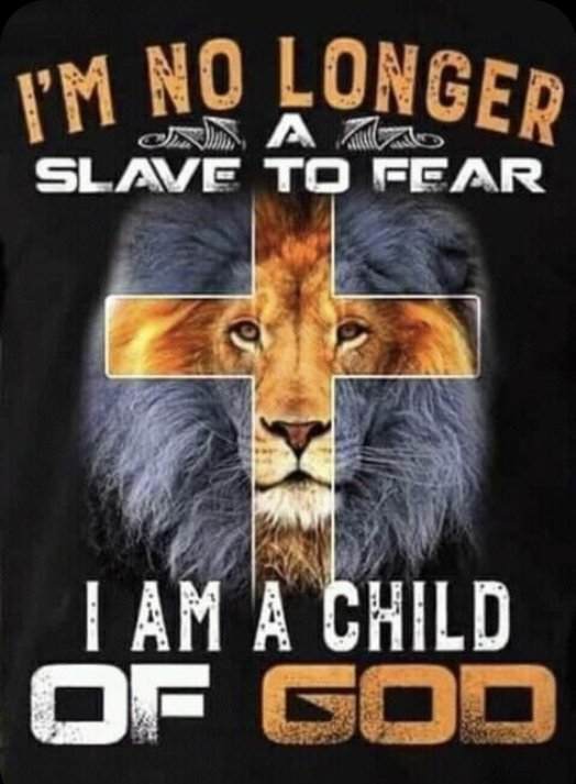 Capt. RayRay tweet media