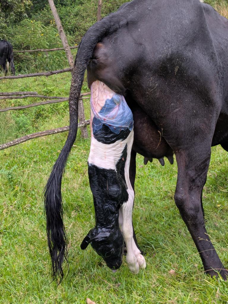 Ntare Guy tweet media