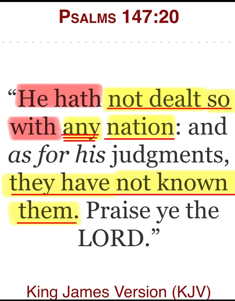 C Ducket tweet media