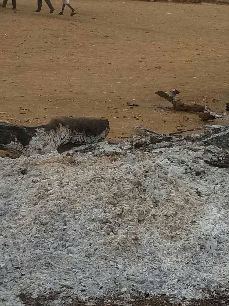 Manasseh Allen tweet media