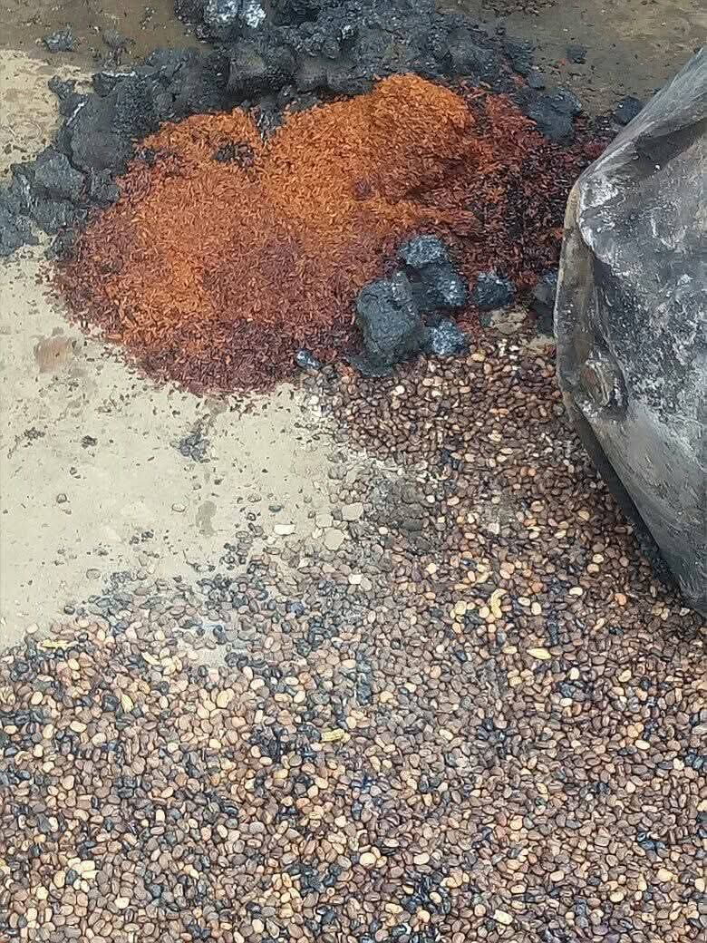 Manasseh Allen tweet media