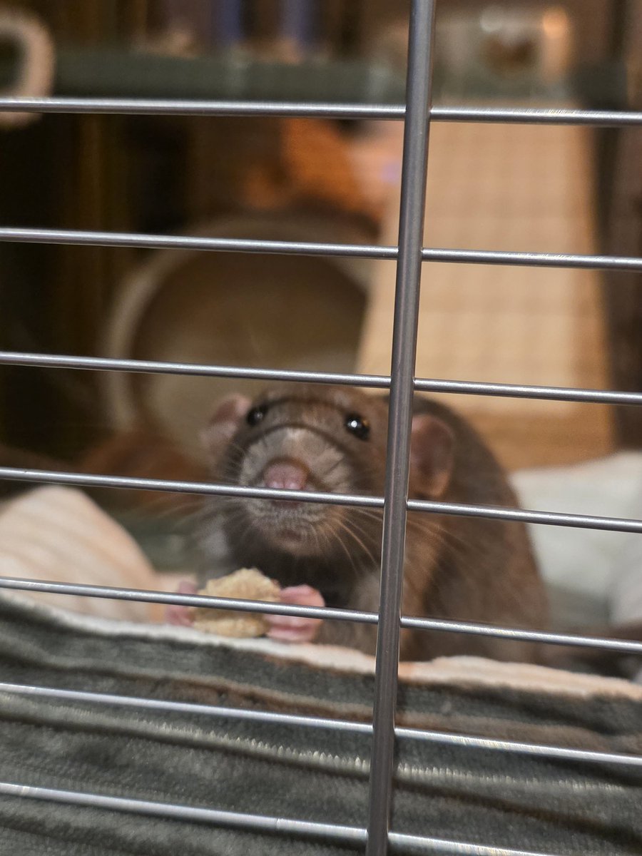 𝔼𝕞𝕚 tweet media