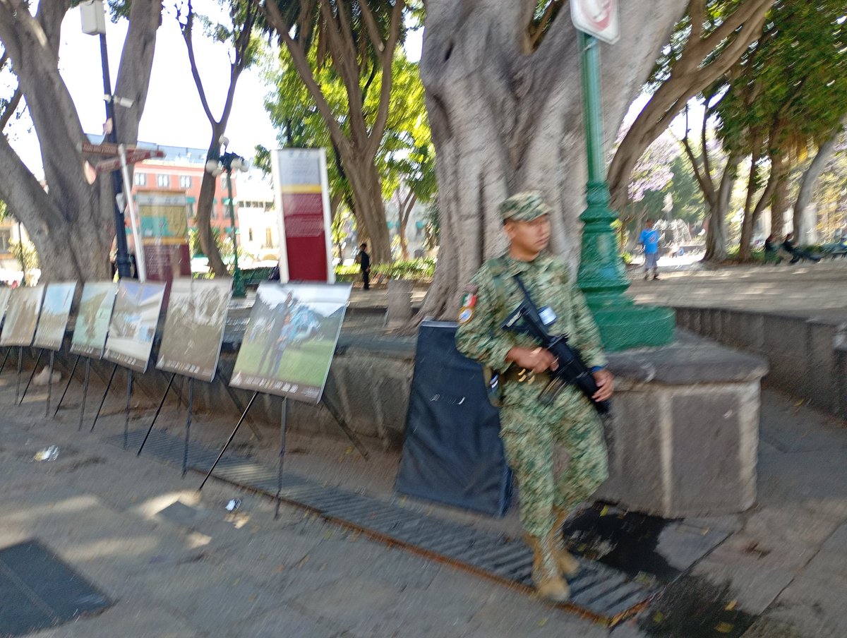 Alfredo Lecona tweet media