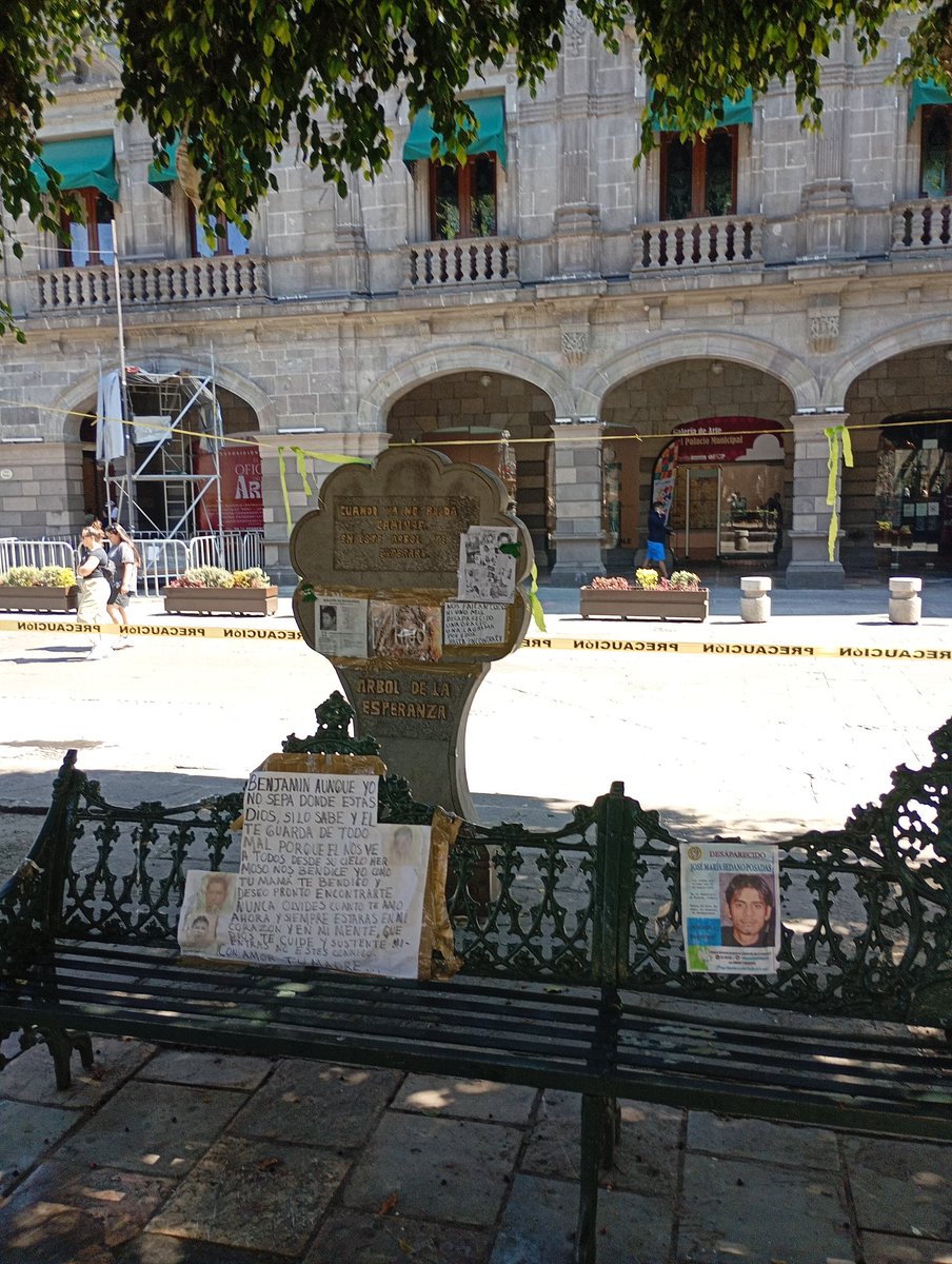 Alfredo Lecona tweet media