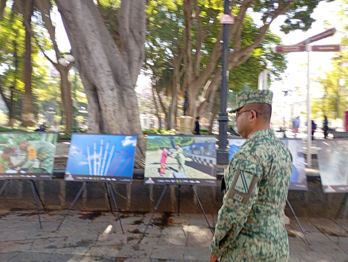 Alfredo Lecona tweet media