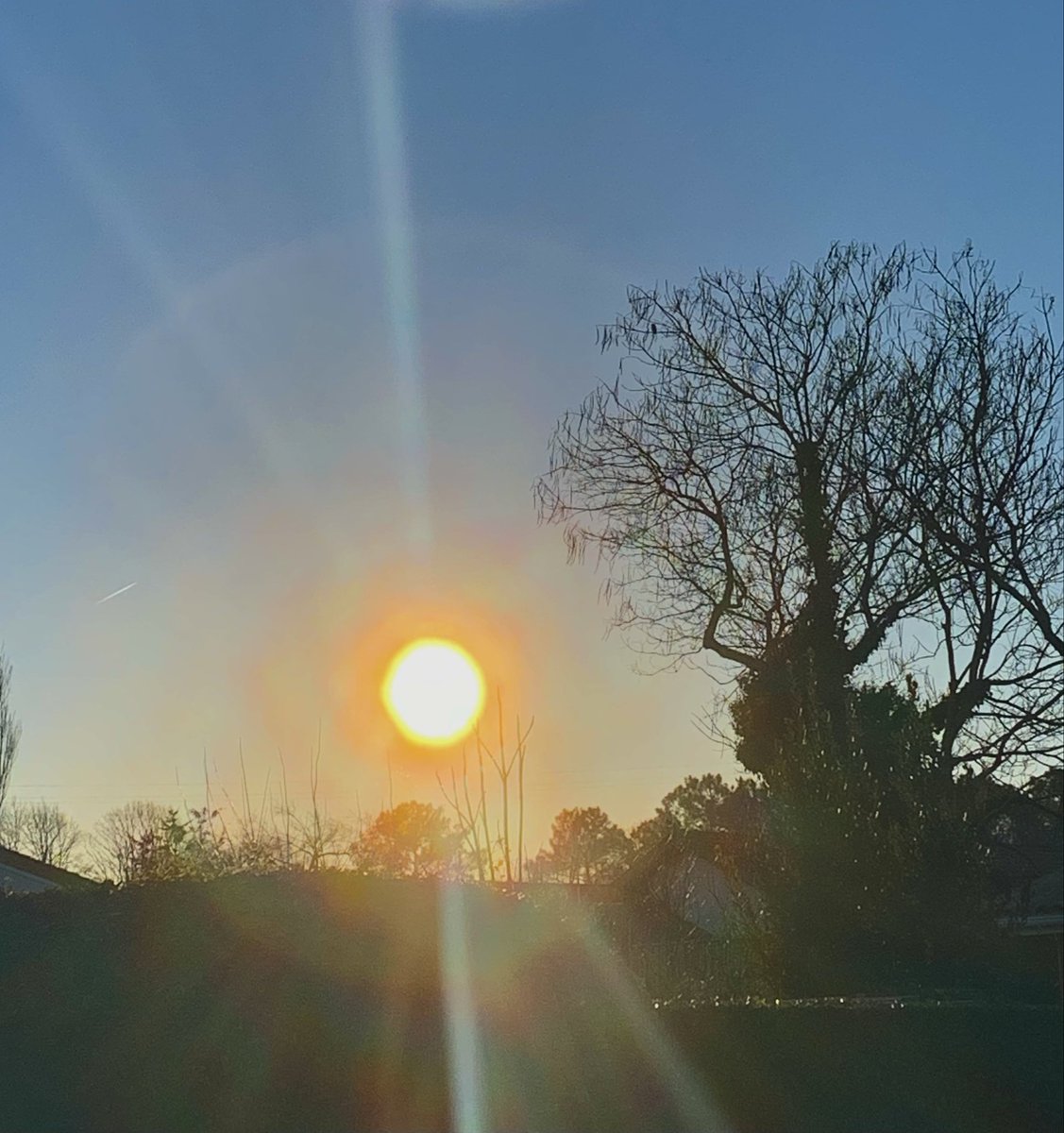 😈 PAT 66 👿 NO DM & LIST tweet media