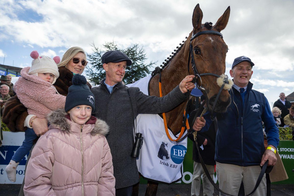 Irish Stallion Farms tweet media