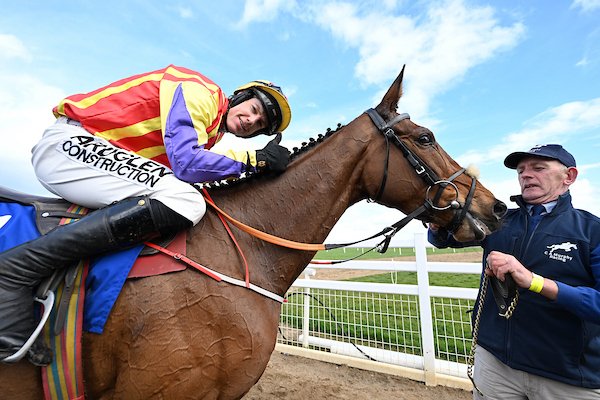 Irish Stallion Farms tweet media