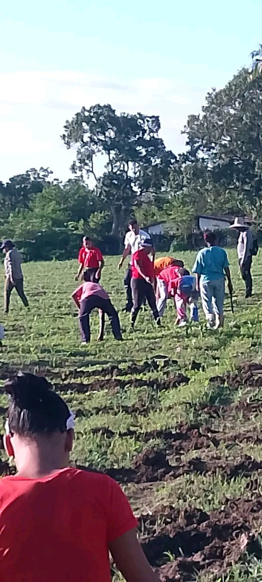 IgmaraR's tweet photo. Los trabajadores Guantanameros siguen siendo protagonistas en beneficio de la patria y la sociedad @Colina_CTCuba @yoeaberob1 @Cuba_CTC @PresidenciaCuba https://t.co/ICyRFDjPGN