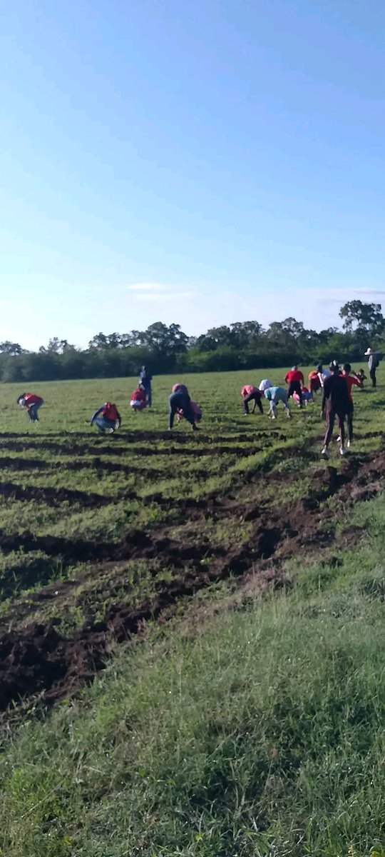 IgmaraR's tweet photo. Los trabajadores Guantanameros siguen siendo protagonistas en beneficio de la patria y la sociedad @Colina_CTCuba @yoeaberob1 @Cuba_CTC @PresidenciaCuba https://t.co/ICyRFDjPGN