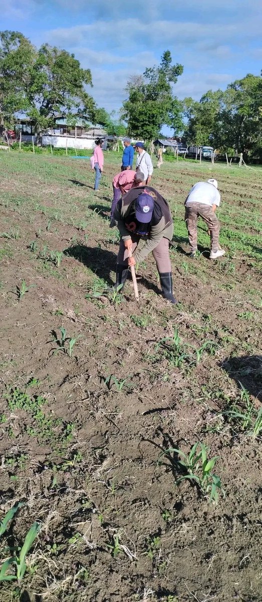 IgmaraR's tweet photo. Los trabajadores Guantanameros siguen siendo protagonistas en beneficio de la patria y la sociedad @Colina_CTCuba @yoeaberob1 @Cuba_CTC @PresidenciaCuba https://t.co/ICyRFDjPGN
