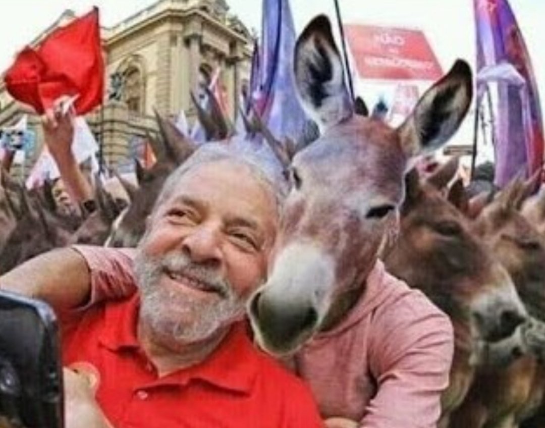 Verdecaco tweet media