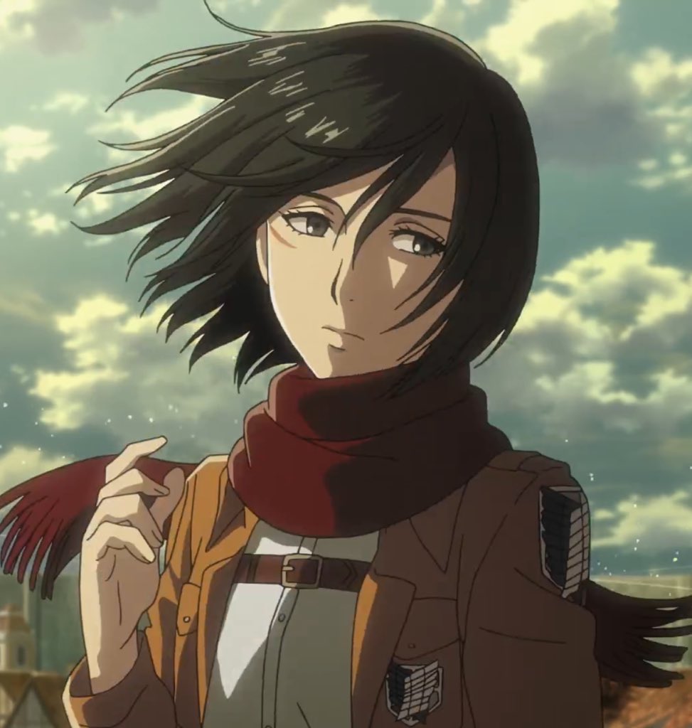 mikasalover's tweet photo. Mikasa at 15 and 19 years old https://t.co/ARrKsELsIP