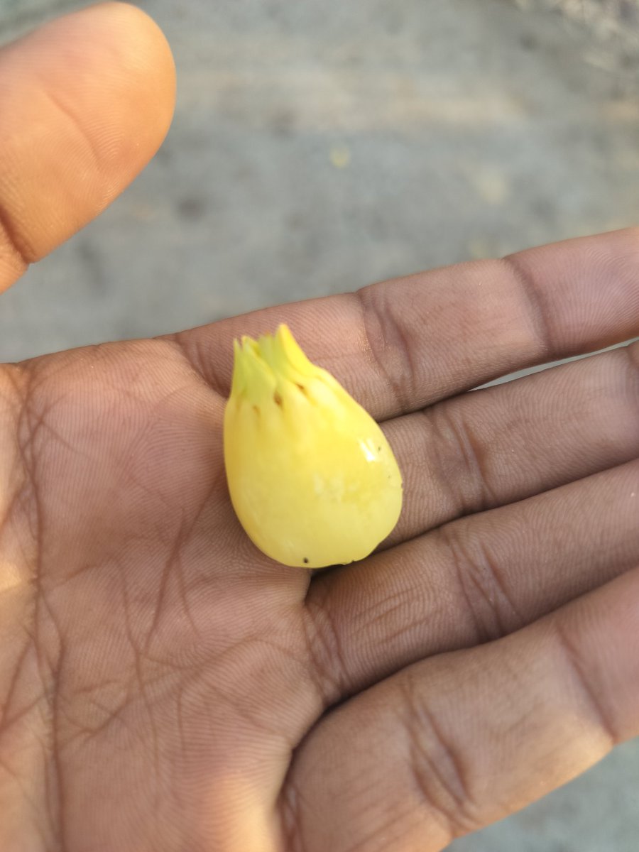 Umesh Shah tweet media