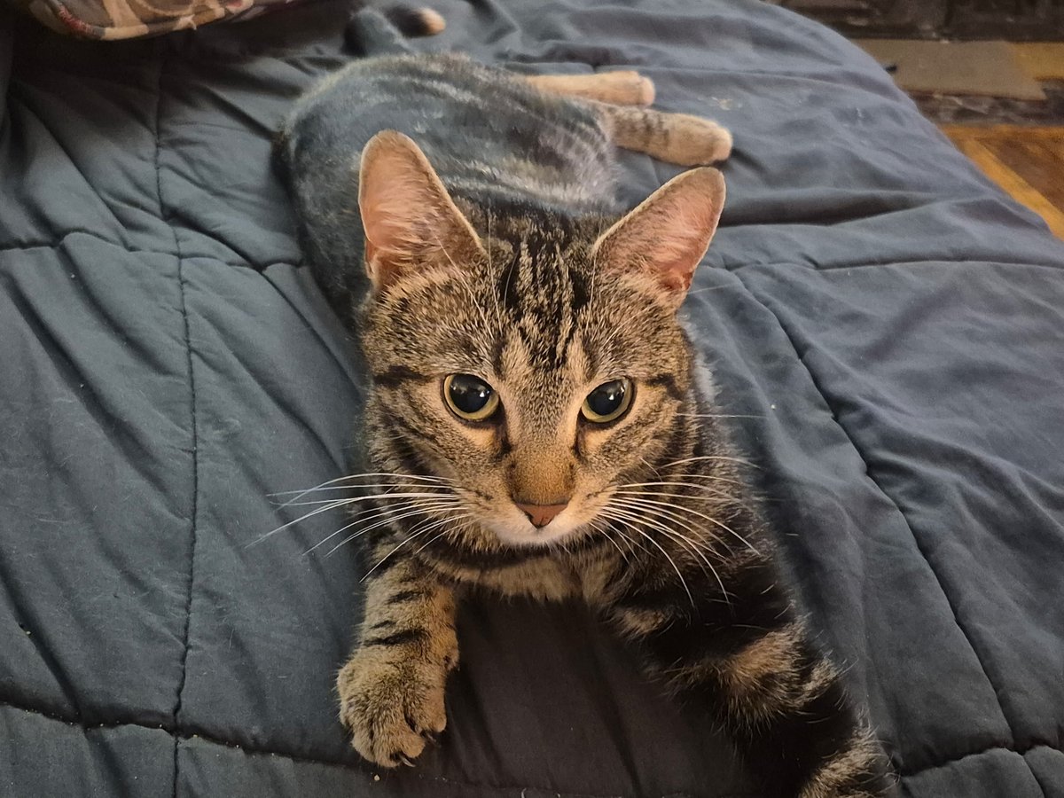 JubbiLily tweet media