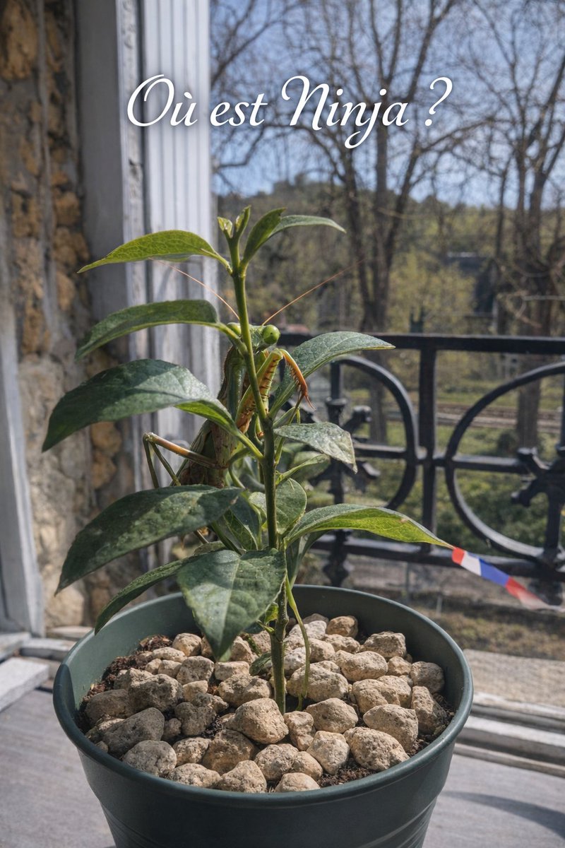 Phil_Good 🇫🇷 tweet media