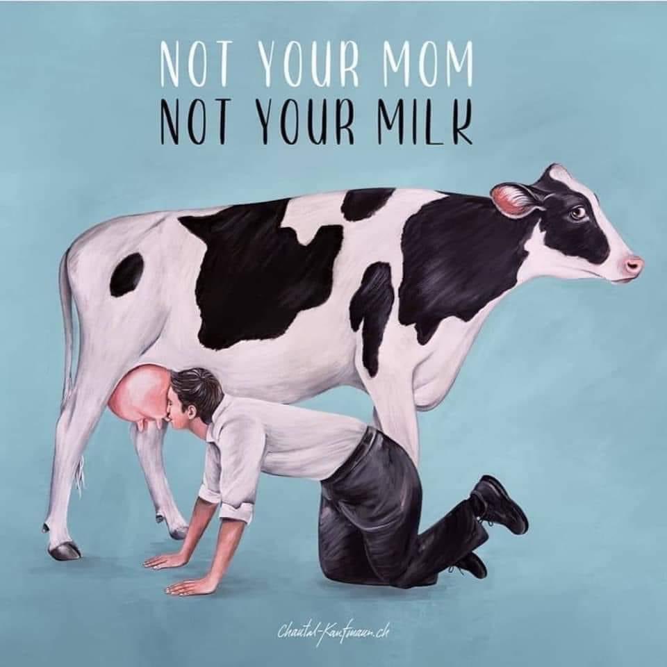 Tom de Kruijff tweet media