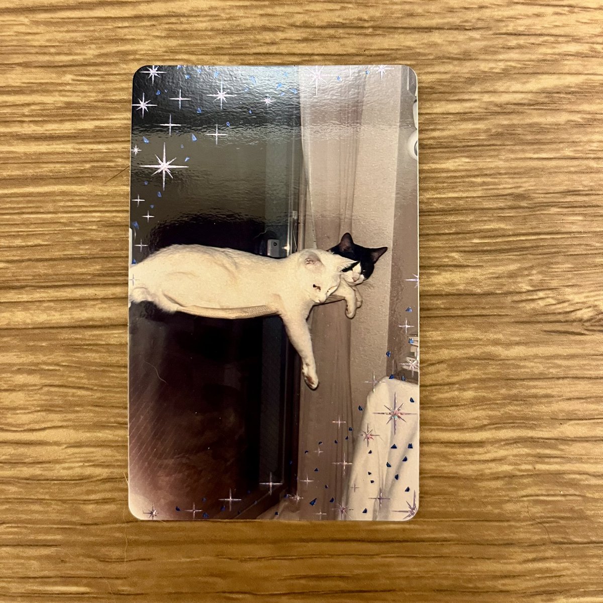 成田のえ😼 tweet media