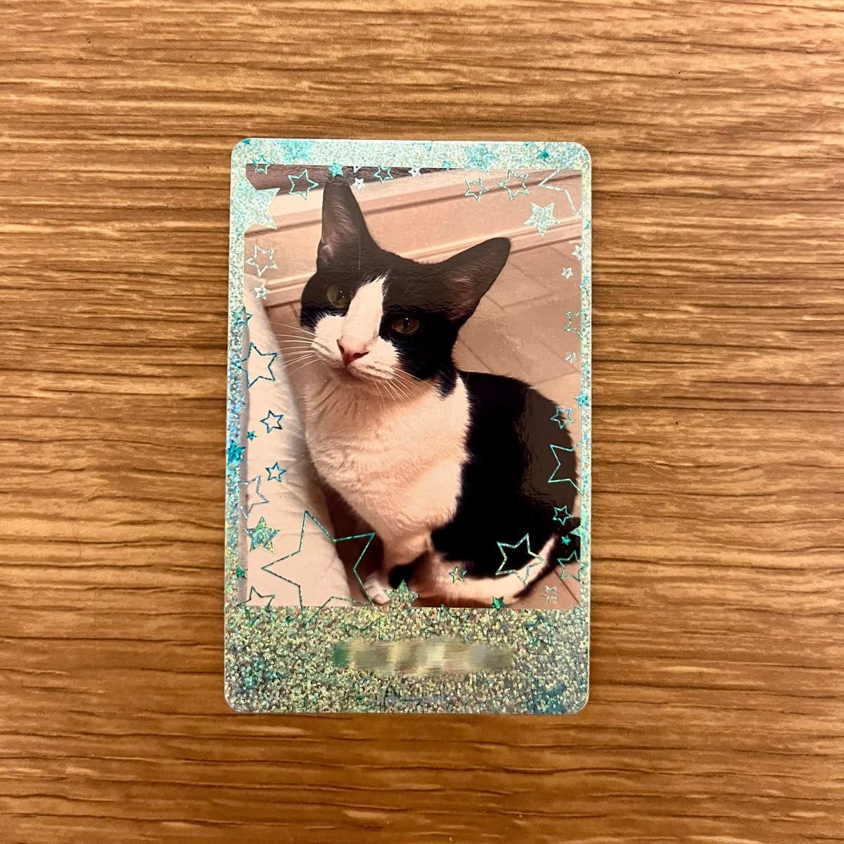 成田のえ😼 tweet media