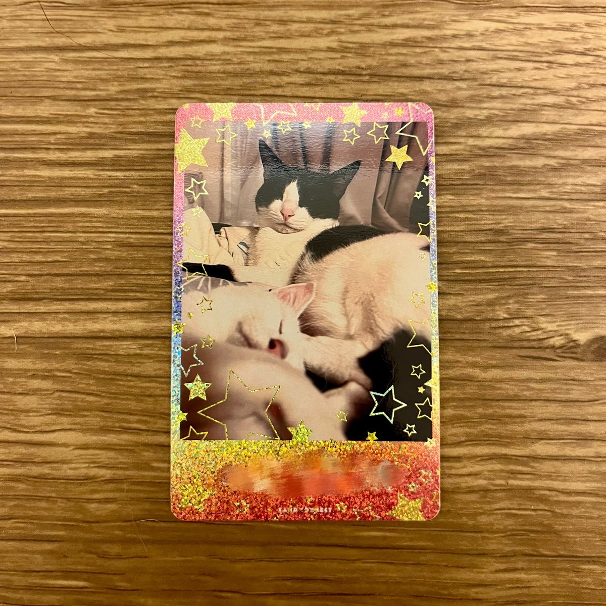 成田のえ😼 tweet media